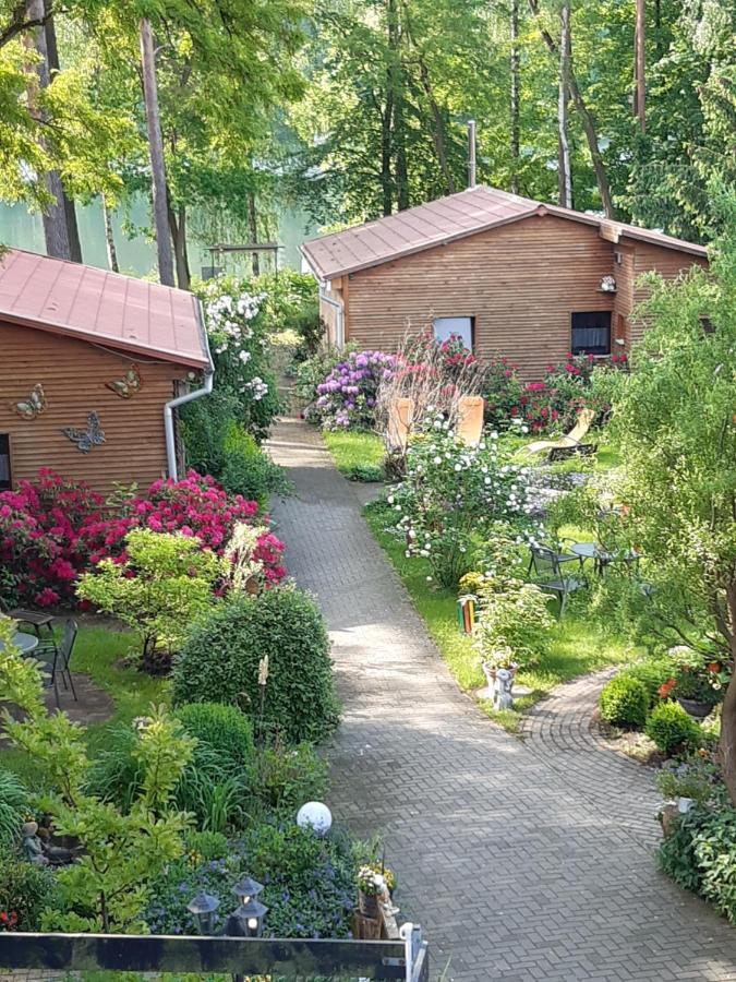 Monikas Gaestehaeuser Seeblick Himmelpfort Hotel Eksteriør billede